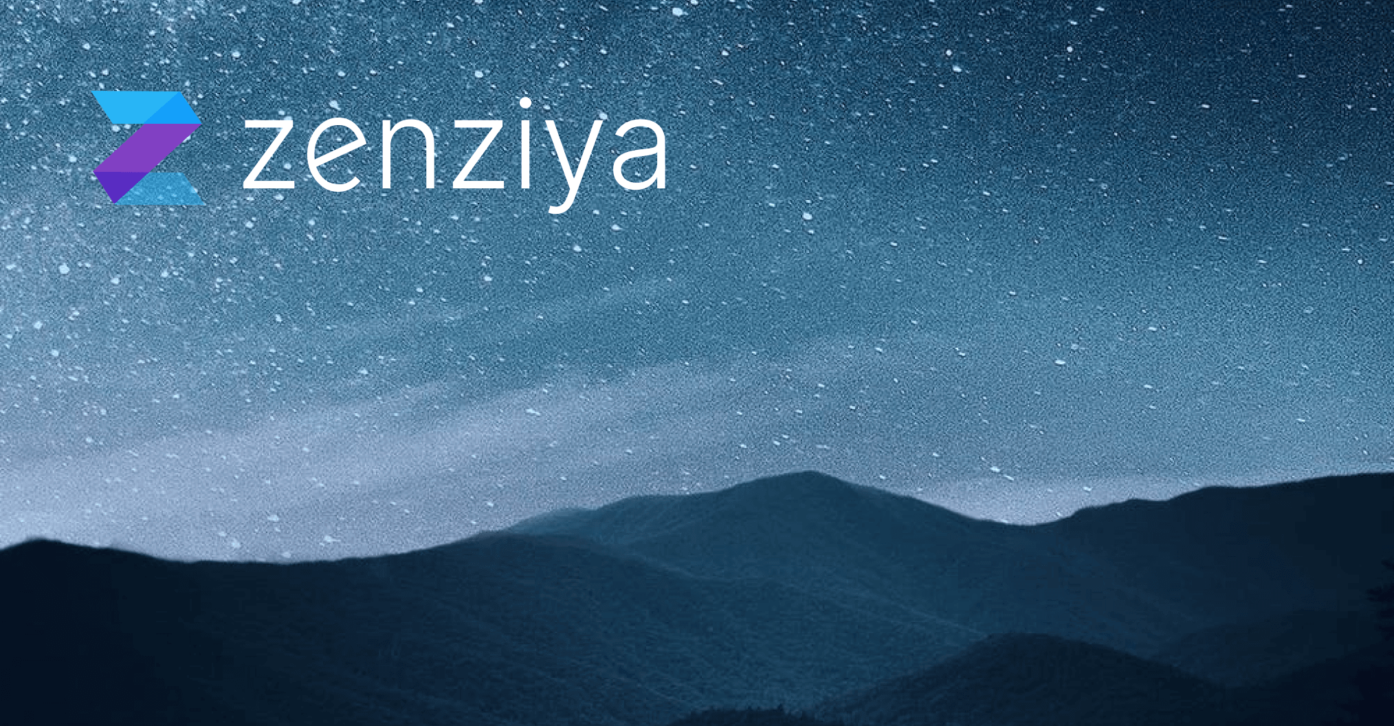 Zenzia Case Study